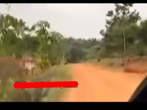 HOAX Beredar di Medsos Video Jalan Rusak di Desa Suka Maju