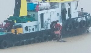 Heboh Penemuan Jasad Kapten Kapal Togboat Kurnia 8 Inisial DRS 43 Tahun Milik PT.KTN Pihak KTN Menuai Kontroversi 