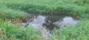 Mengejutkan! Limbah Lindi Diduga Mengalir ke Sungai Tanpa Pengolahan: TPA Jadi Sumber Pencemaran Sebenarnya?