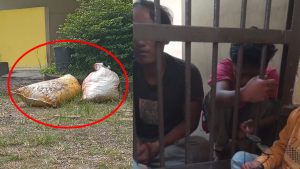 Diduga Tak Humanis! Buruh Sawit dan Anaknya Ditahan, Diminta Uang Damai Rp30 Juta oleh Pihak Perusahaan