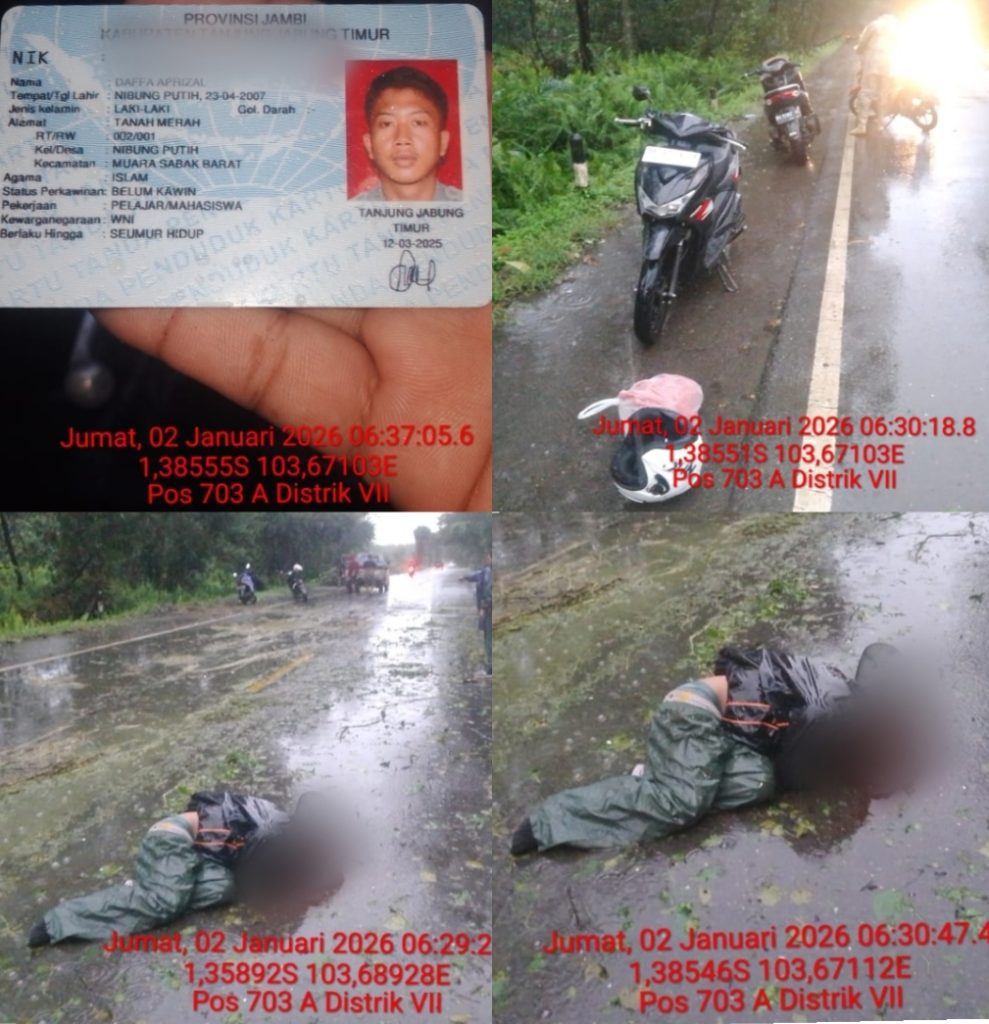 Pemuda Tewas Tertimpa Pohon Akasia di Jalan Konsesi PT WKS, Kelalaian Keselamatan Dipertanyakan